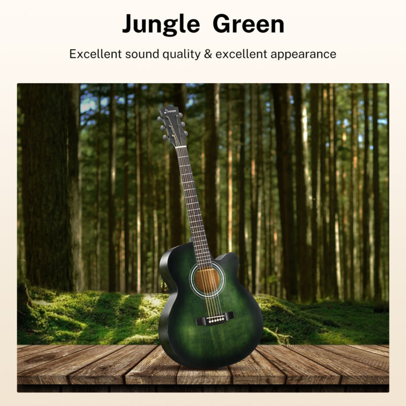 Acoustic Guitar
